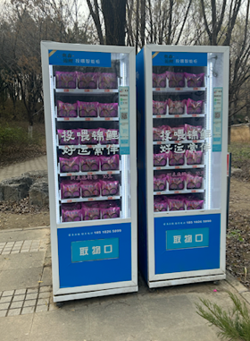 图片去外星球了